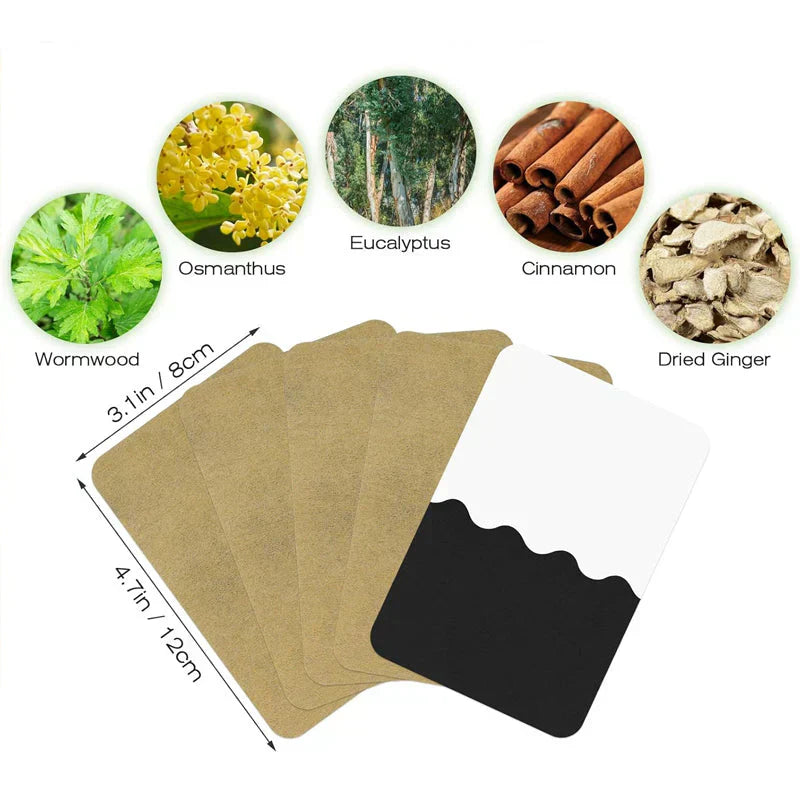 ⏳Time-Limited Sale 50% OFF⏰ Ginger Pain Relief Patches – Natural Heat Therapy for Aches &amp; Stiffness | Stick It Where It Hurts! 💆‍♀️