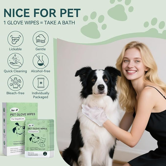 Pet Glove Wipes for Dogs &amp; Cats – Clean Your Pet in Minutes Without a Bath