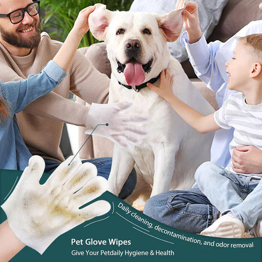 Pet Glove Wipes for Dogs &amp; Cats – Clean Your Pet in Minutes Without a Bath